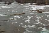 DSC08058.jpg