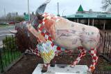 Where do Buffalo Wings come from?