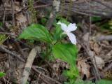 DSC08420.jpg
