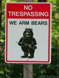 We Arm Bears