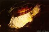 Cave Bacon (Room #3)