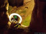 Cave Grass