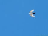DSC23425.jpg