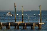 DSC26782.jpg