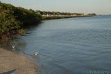 DSC26807.jpg