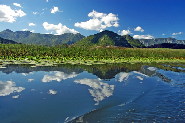 Skadarsko lake