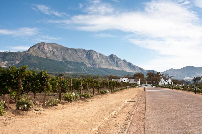 Steenberg Wine Estate