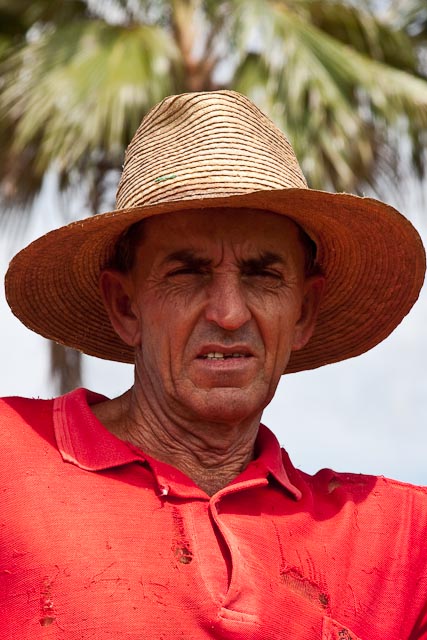 Tobacco Farmer