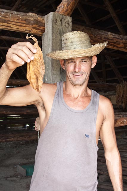 Tobacco Farmer