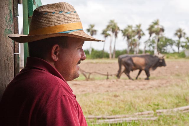 Tobacco Farmer