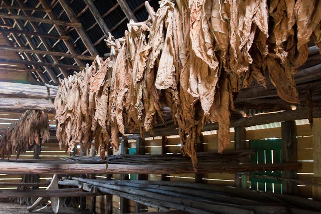 Tobacco Barn