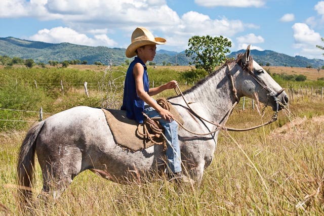 Young Cowboy