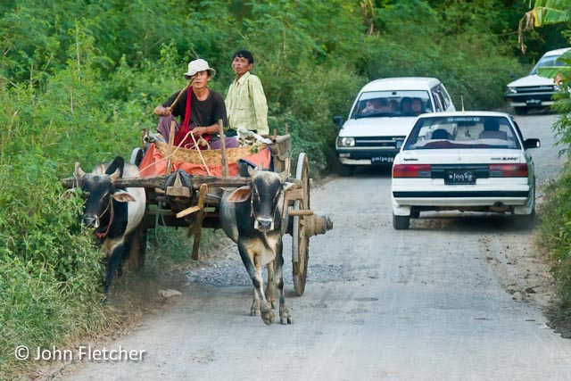 Sharing the Road
