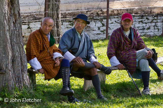Spectators Enjoy the Show