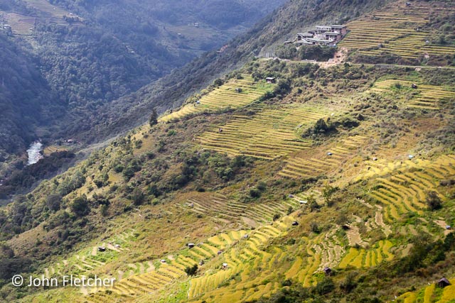 Farm Terraces