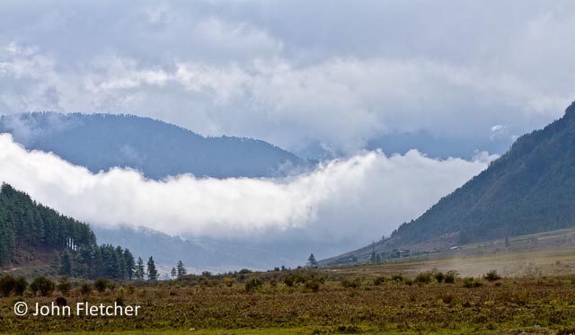 Phobjikha Valley