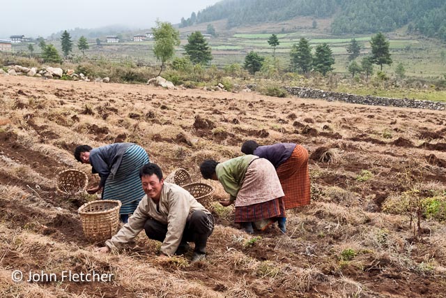 Farm Workers