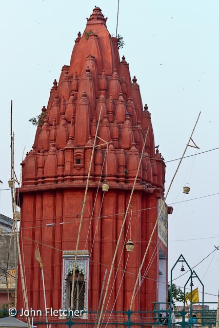 Temple and Offspring?