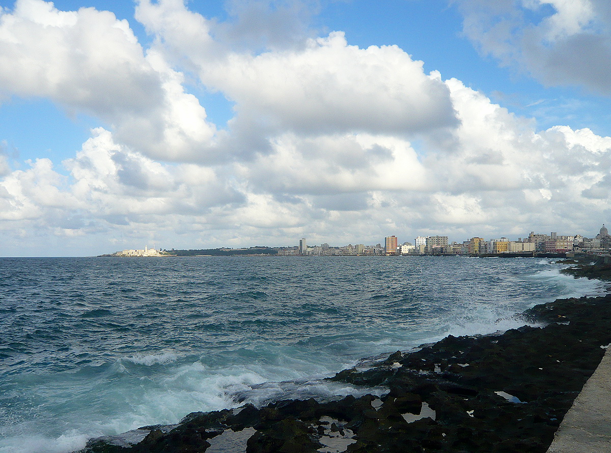 P1030026 copia.jpg