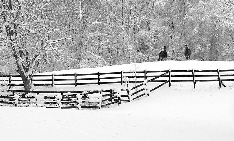 P2262381a bwweb.jpg
