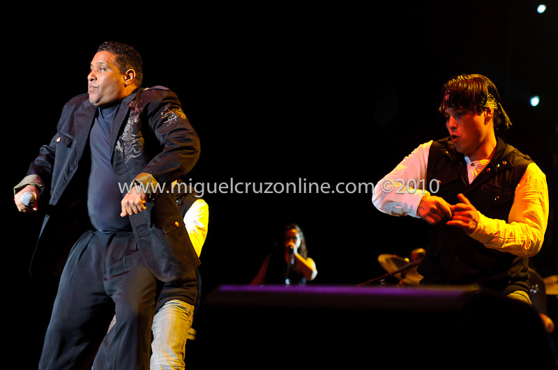 stevieb-4.jpg