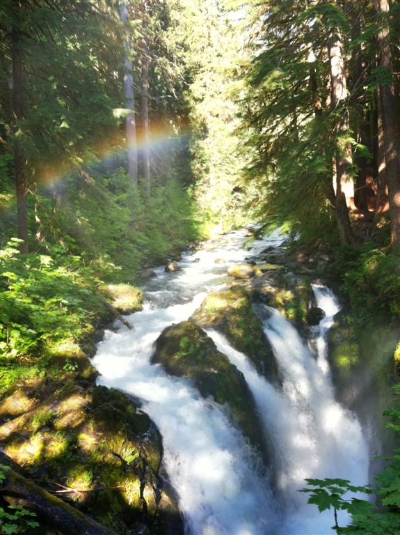 Sol Duc Falls, Olympic National Park, WA