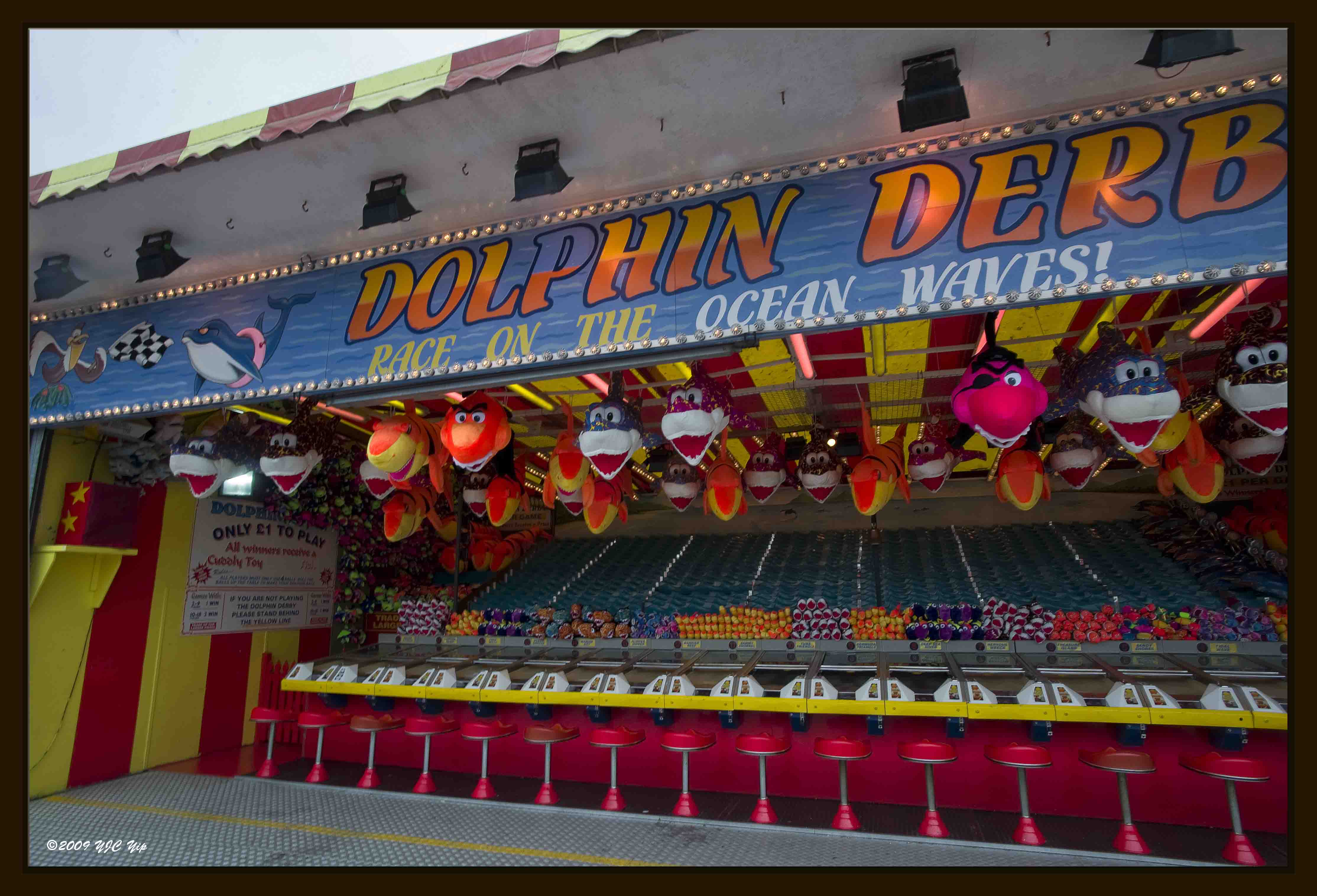 12 Dolphin Derby.jpg