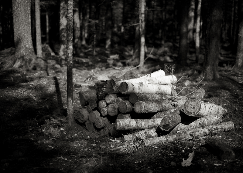 Log Pile