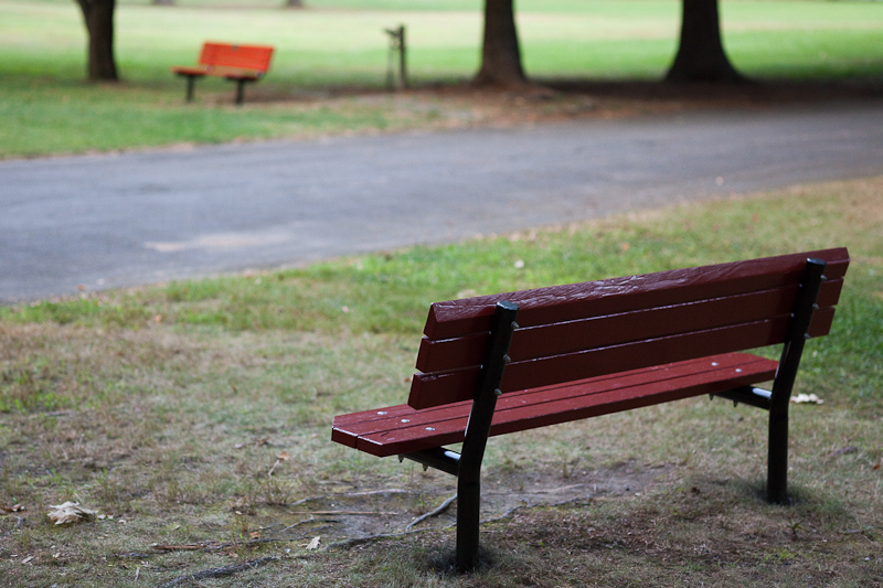 Childs Park Benches