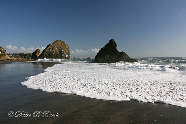 Harris Beach 02