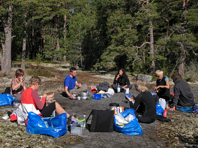 Breakfast in a sunny clearing