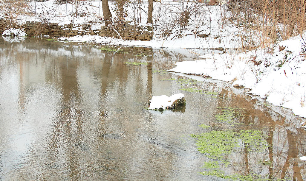 A cold Town Branch Creek
