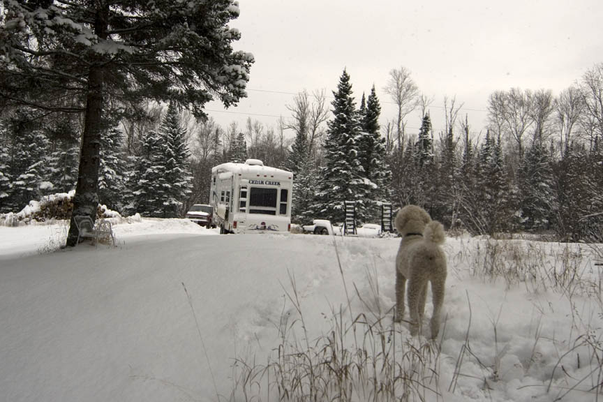 Lets take the trailer and go - this sums up my feelings this winter.  Too much snow, too much cold, Id rather be traveling.