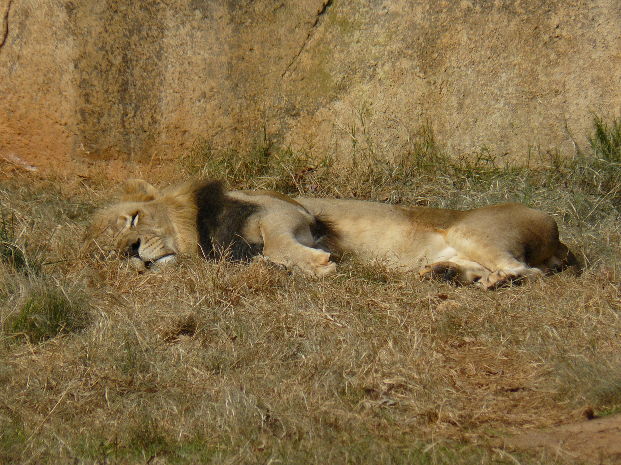 P1020061.JPG