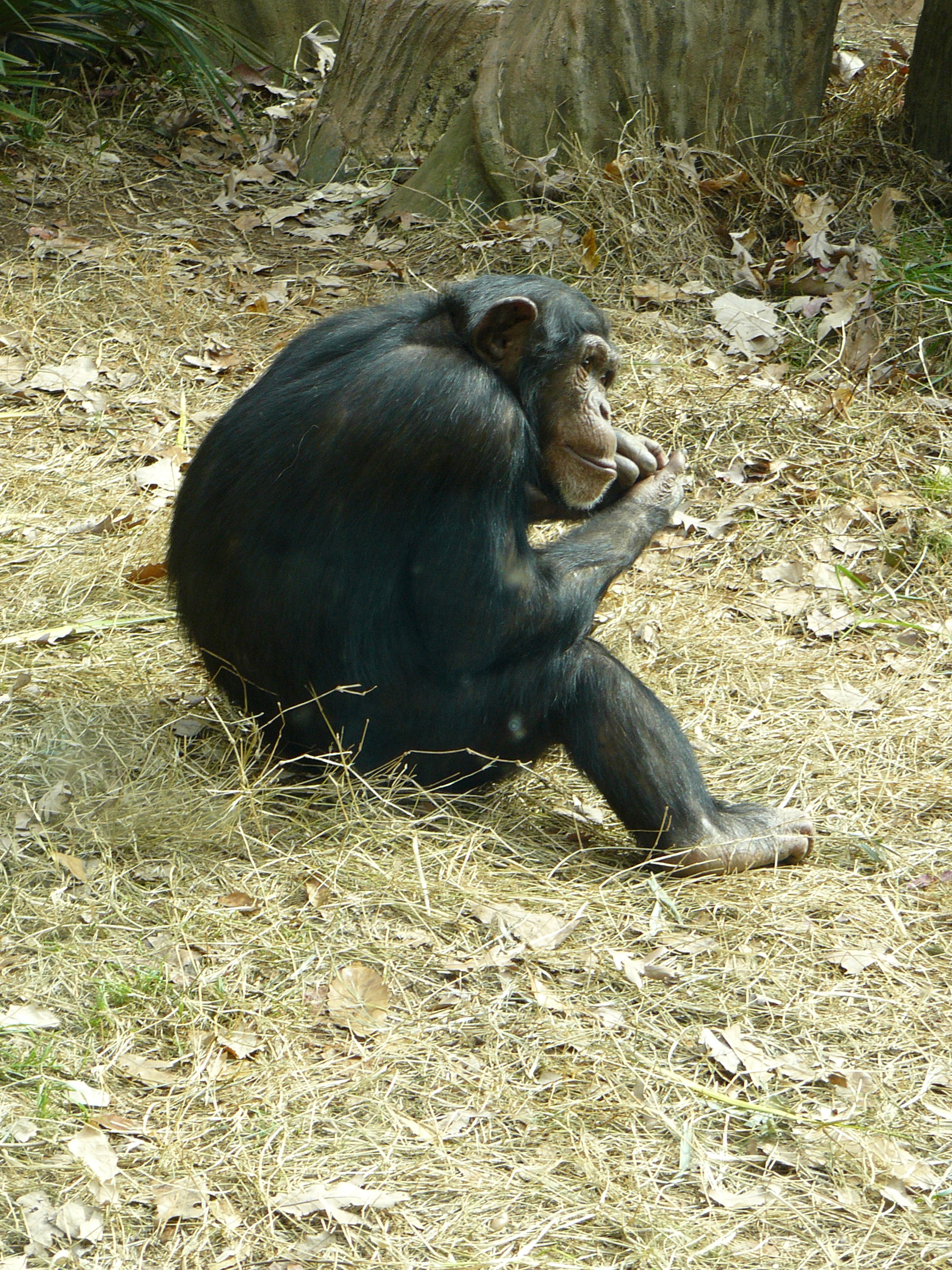 P1020087.JPG