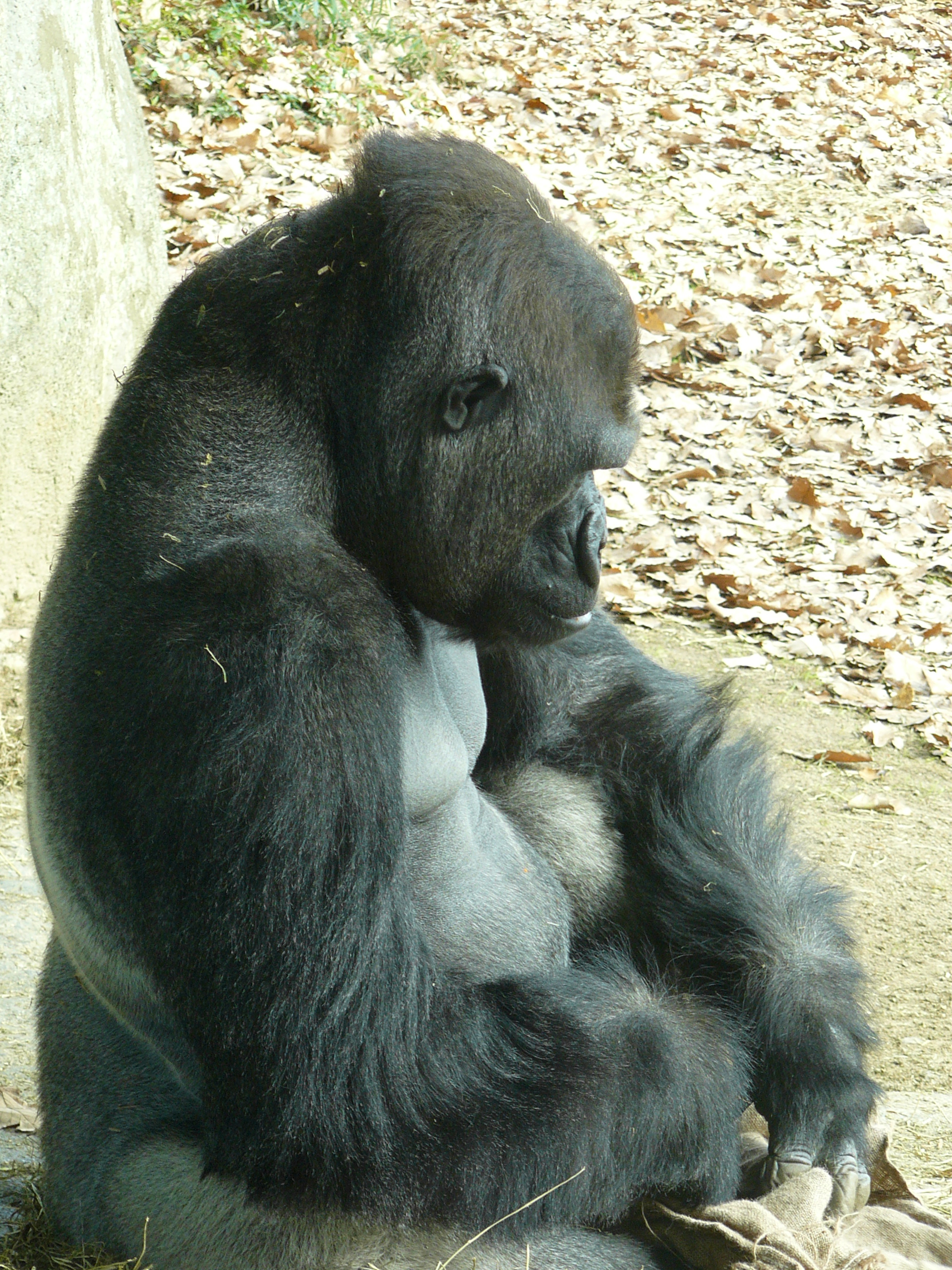 P1020144.JPG