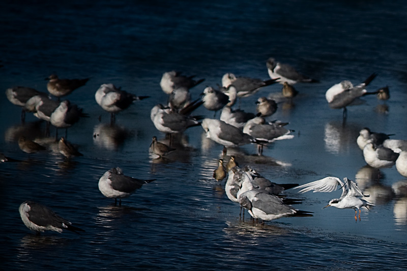 Landing
