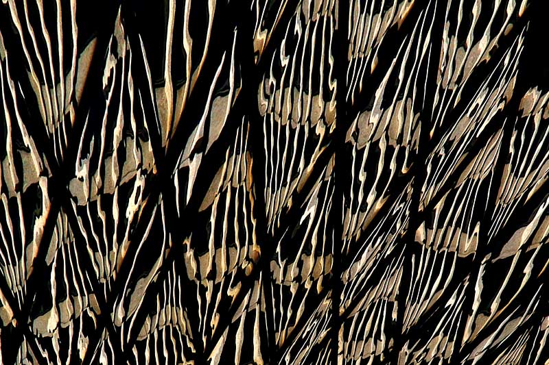 2nd Place - Pattern in Chrome - by Penny Street
