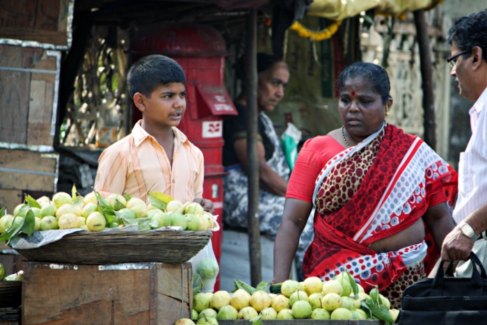 The Vendor