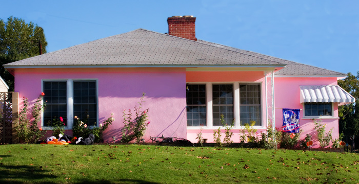 in the pink