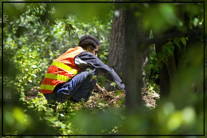 Park Attendant