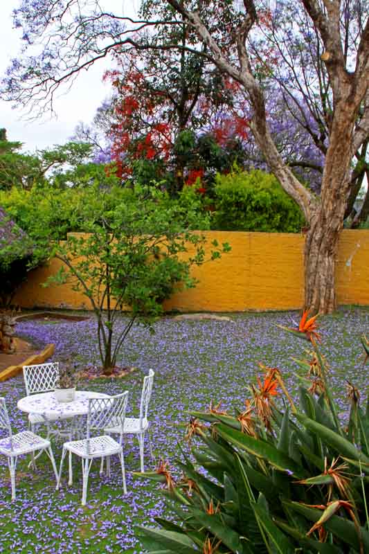 Joburg Spring