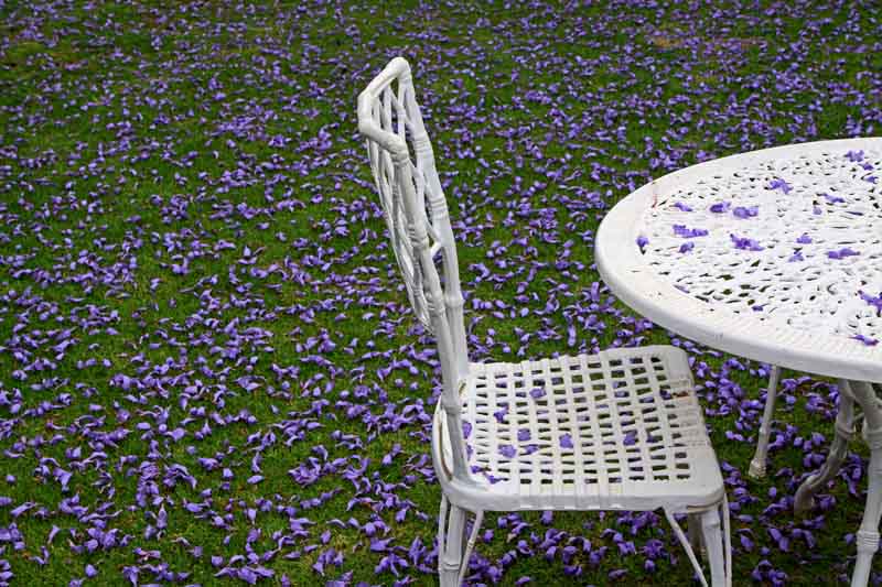 Purple Rug