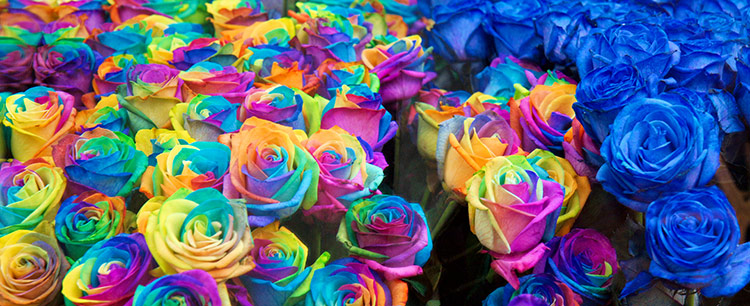 10th - Violets are red, roses are blue - by Ron LaCroix