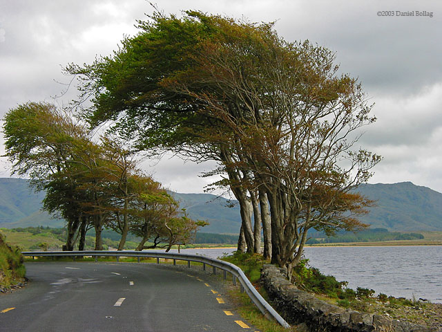 Conamara*