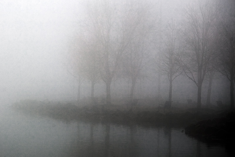 One Foggy Morning