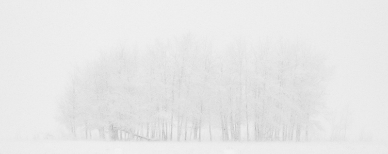 Snow Storm
