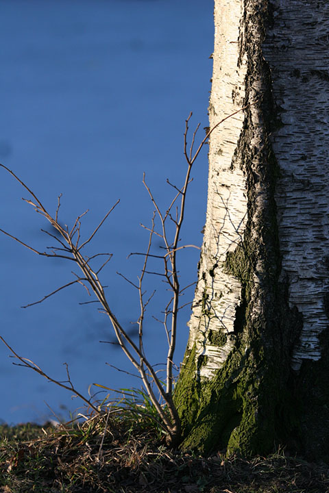 spring off