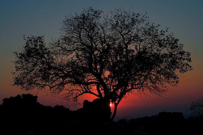 9th Place - Silhouette - by AM