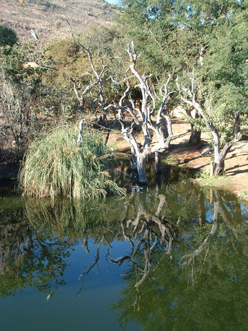 Reflections at Sun City